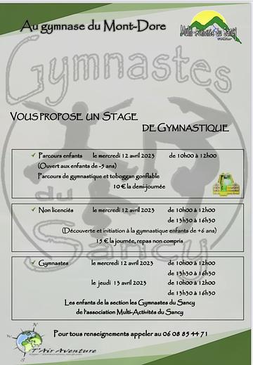 Affiche Stage de gymnastique
